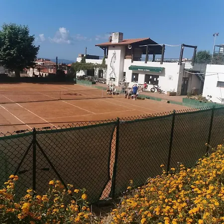 Neuf Casone - Trottel 阿雅克肖