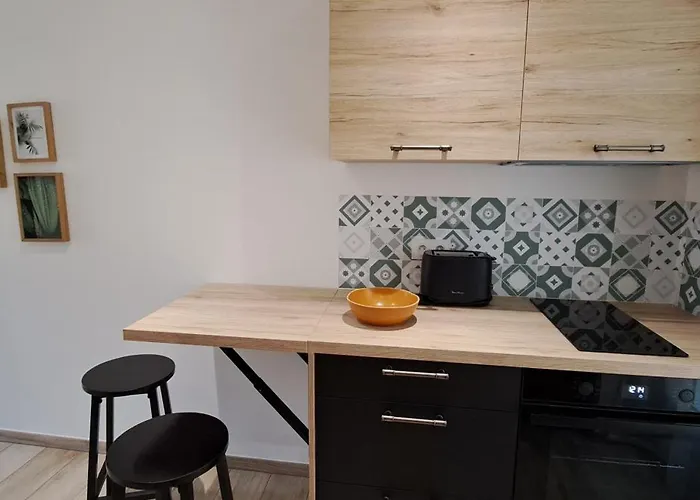 Neuf Casone - Trottel 公寓 阿雅克肖